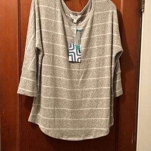 Womens brushed knit dolman top